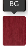 Sensationnel 4x X-Pression Pre-Stretched Braid 38”