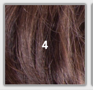 Model Model 3x Boho Paradise Box Braid 10"